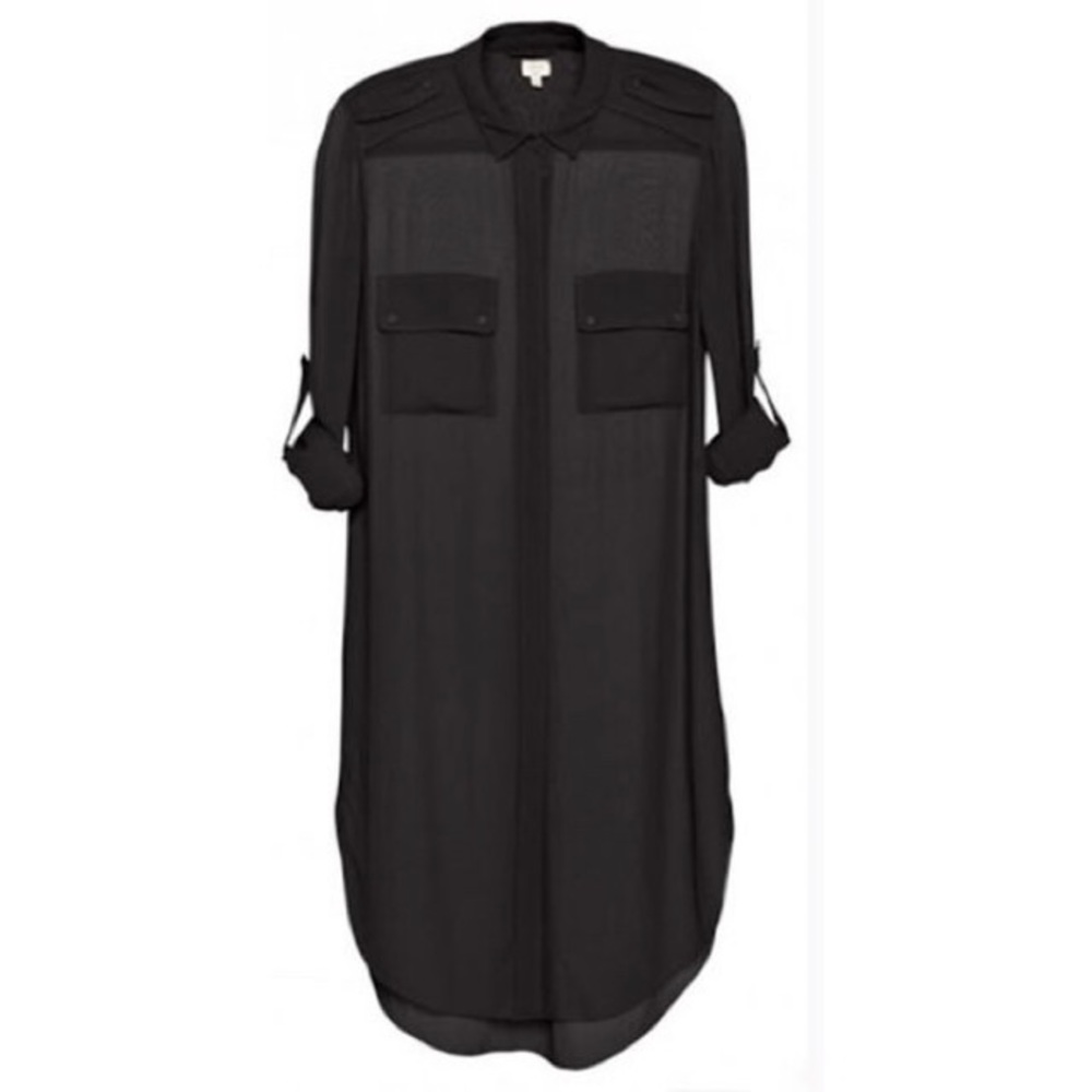 Aritzia Wilfred Baye Sheer Silk Tunic Dress